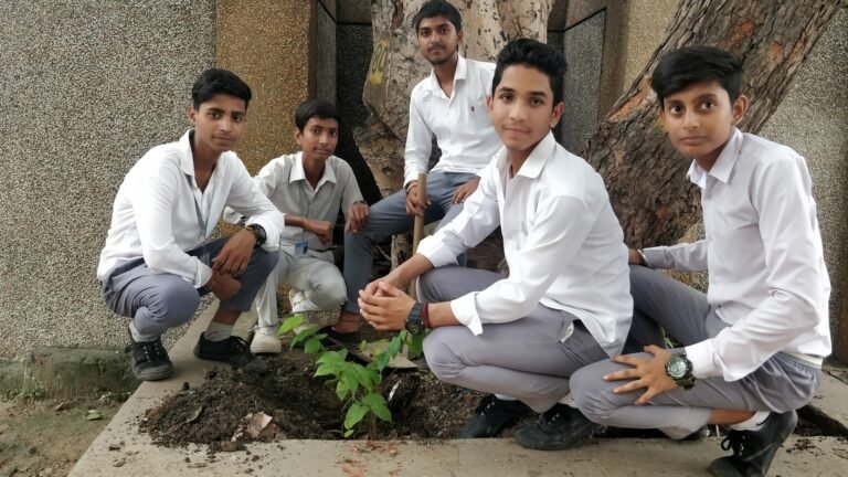 Plantation Drive